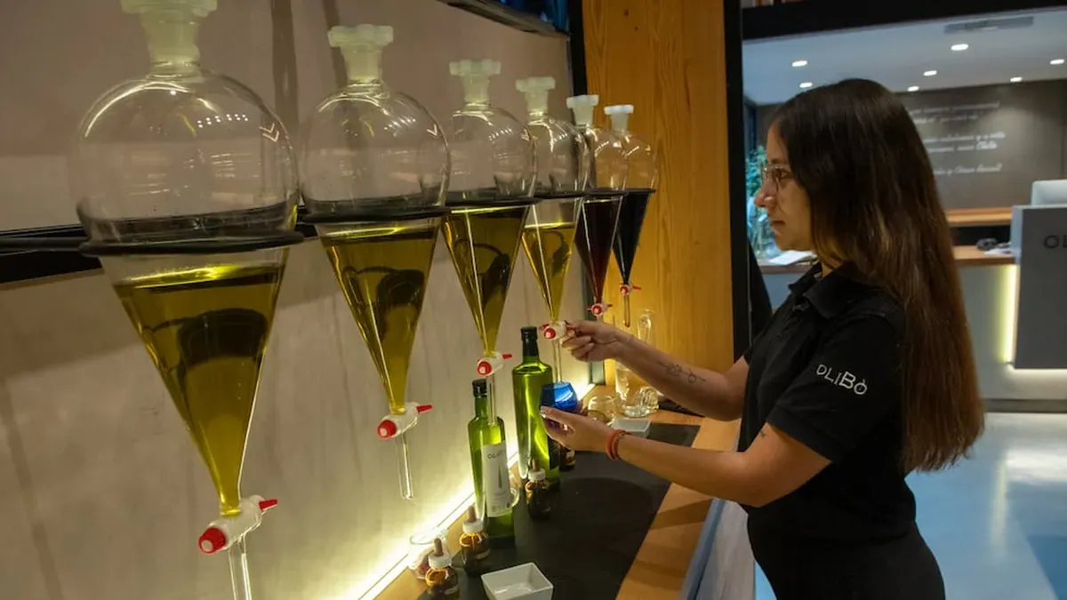 Degustación técnica de aceites de oliva en almazara
