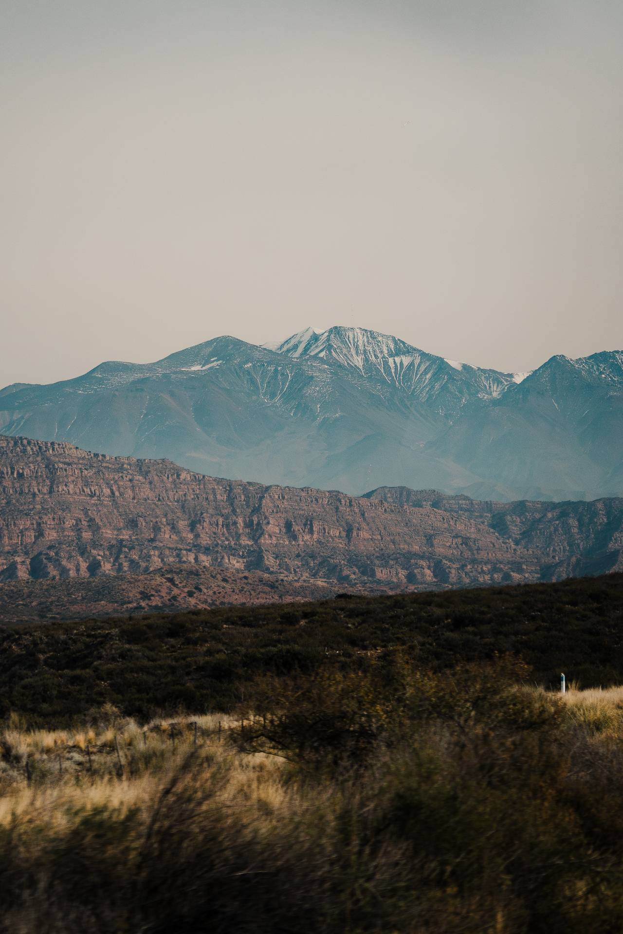 Mesa con vista a los viñedos