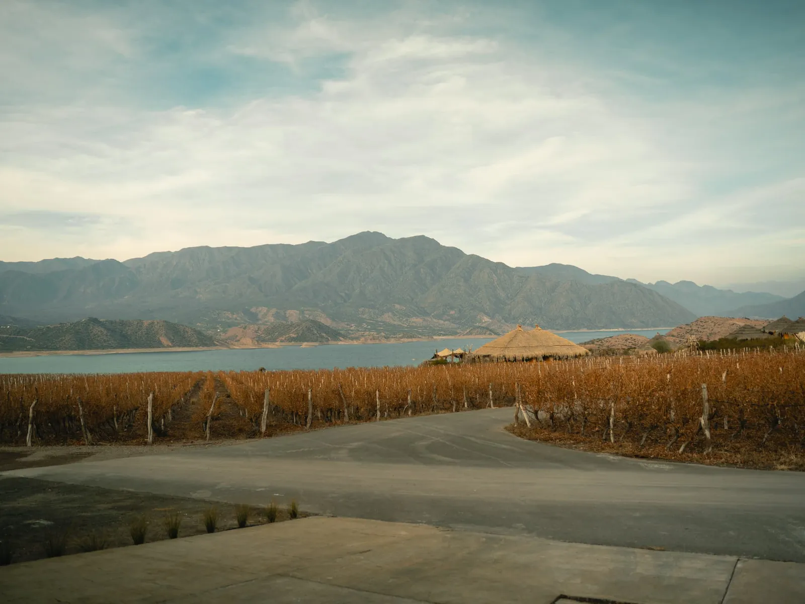 Paisaje de Mendoza con viñedos y montaña