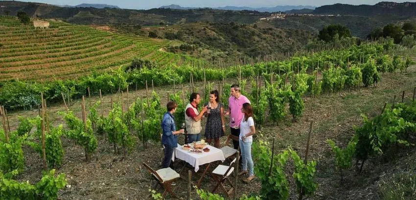 Grupo de visitantes degustando vinos entre viñedos